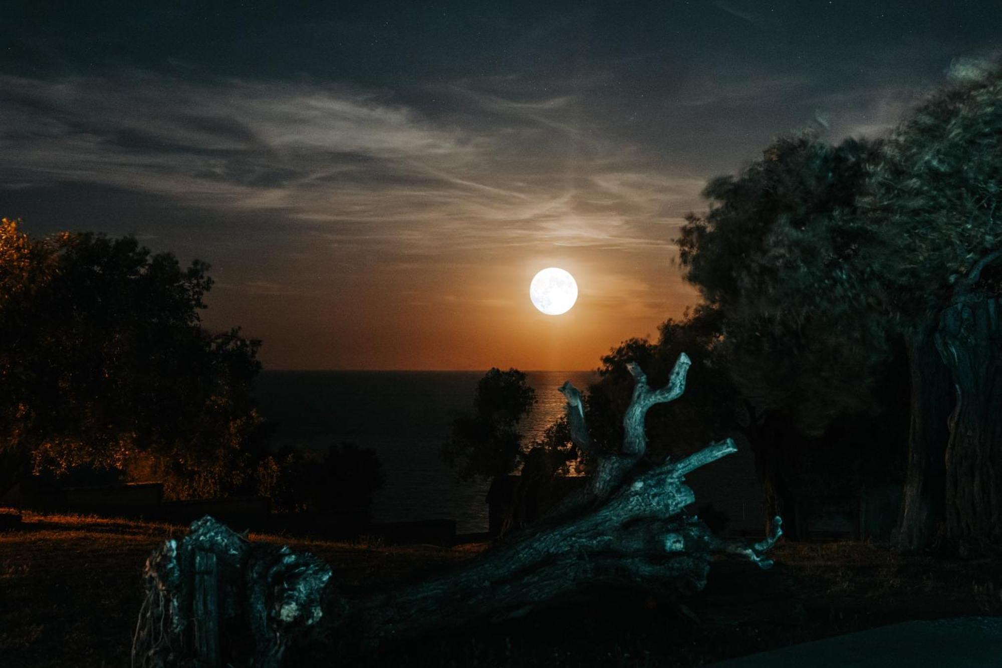 Olive Blue Thassos Luxury Villa Astris
