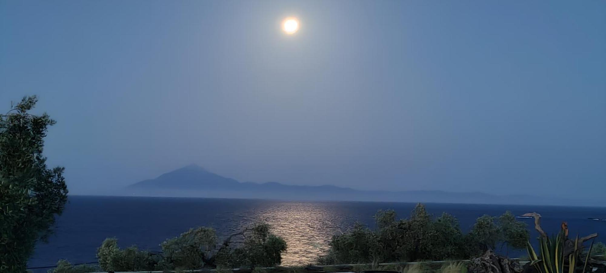 Olive Blue Thassos Luxury